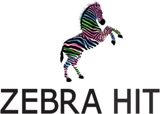 zebra hit logo